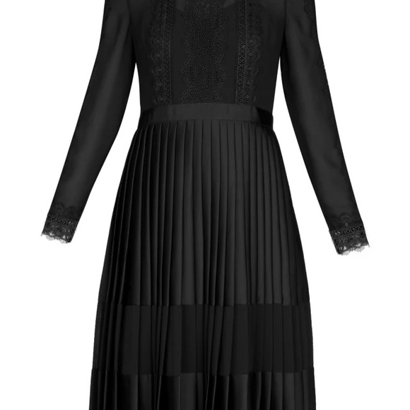 Ted Baker - Looez Lace Trim Pleated Midi Dress - Picture 3 of 6